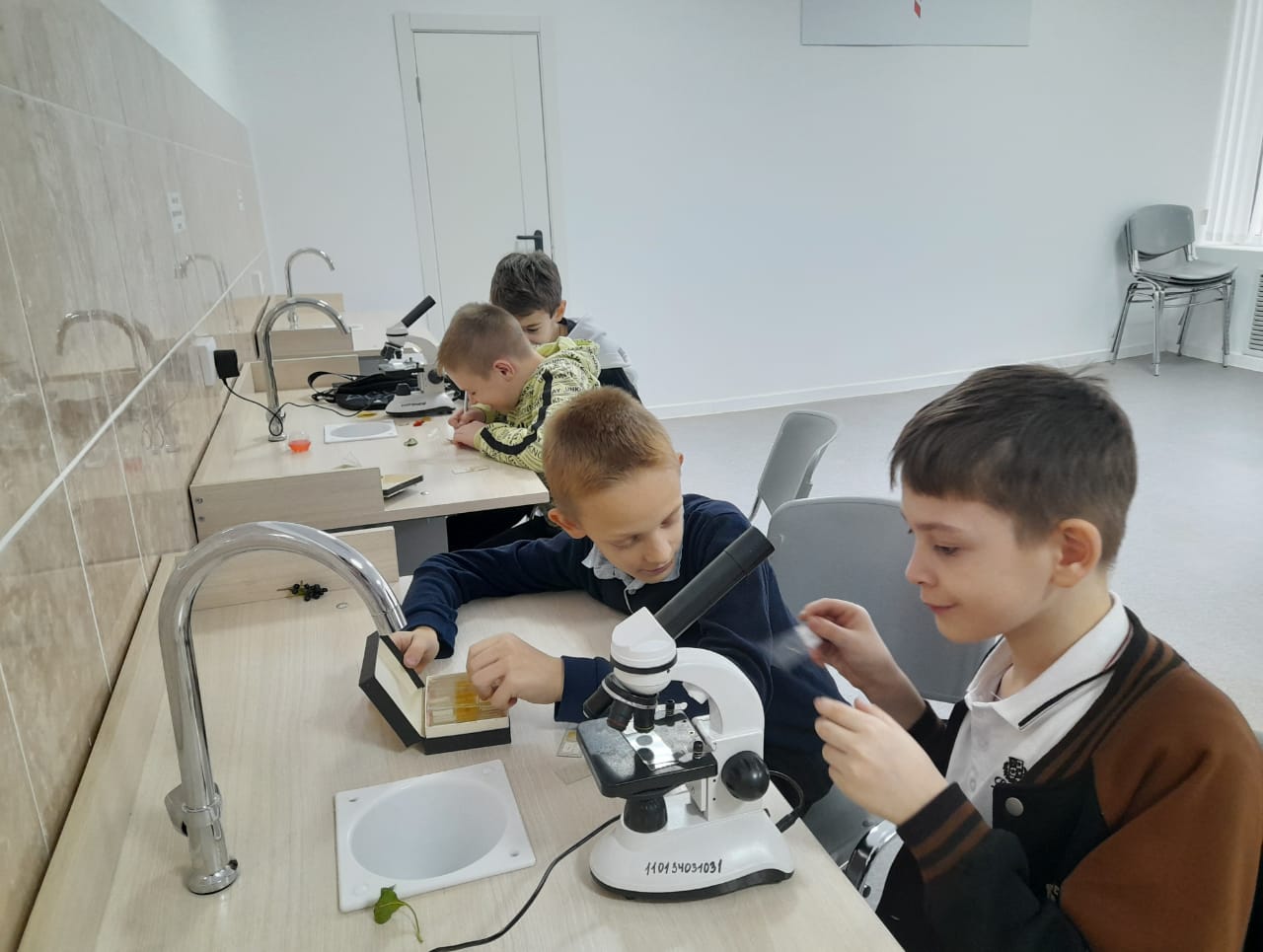Удивительный мир природы.